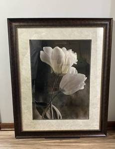 lot 96 image: Magical Fine Art Print - Tulip