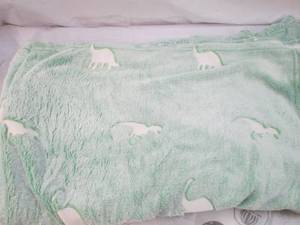 lot 293 image: Glow in the dark dinosaur blanket...