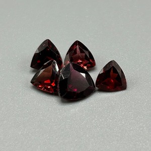 4.80 Carat Garnet Trillion Triangular Faceted Cut - Set of 5 Loose Stones