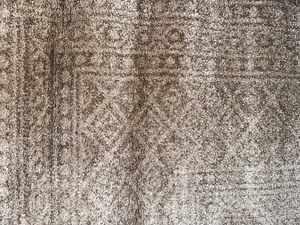 lot 3 image: Like New Nourison Palermo Collection in Beige Area Rug Measuring 53 x 73