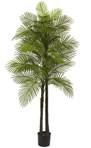 lot 538 image: 7 Double Robellini Palm Tree UV Resistant (IndoorOutdoor)