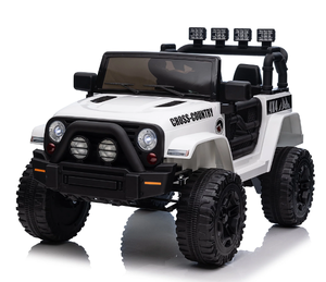 lot 607 image: GREEN Shininglove 12V Kids Ride on Truck Car with Remote Control & 2 Seater for Girls Boys