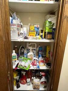 lot 100 image: Large Variety of Household Cleaning Supplies Contents of Closet Goes