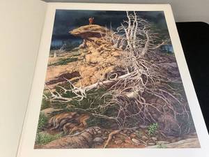 lot 174 image: Bev Doolittle Print Signed