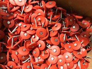 EVERBILT PLASTIC CAP NAILS