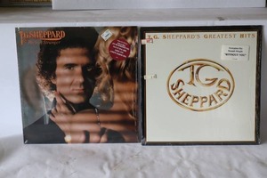 lot 380 image: (2) T. G. Sheppard Perfect Stranger & Greatest Hits Rare Quality Vintage Vinyl Record Album