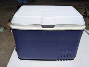 Blue igloo cooler