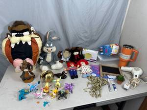 Collectibles, Pokemon Building Sets, Looney Toons, Household, and More