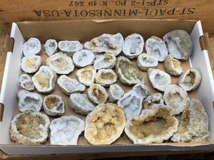 lot 144 image: Rough Cut Geodes