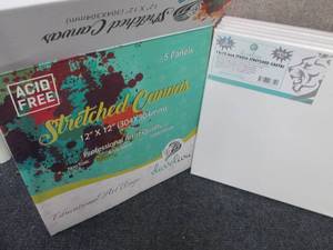 lot 181 image: 5 pk Develiou12x12 Stretched Ca...