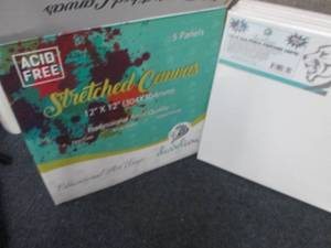 lot 183 image: 5 pk Develiou12x12 Stretched Ca...