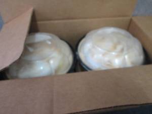 lot 438 image: EE Case of 6 -8 inch FROZEN Lemon M...