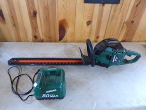 lot 54 image: Masterforce Hedge Trimmer