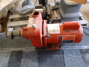 lot 101 image: Red Lion Cast Iron Effluent Pump RL-S Series