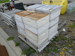 lot 5 image: 2 Sets of Honey Beehive Boxes