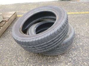 lot 164 image: 2 Douglas Tires