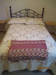 Decorative Hammered style Metal bed...