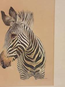 lot 109 image: Exotic Fine Art Print - Hans P. Luetcke - Zebra