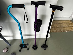 Three Canes