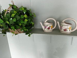 Two Floral Watering Pots and Greenery Basket