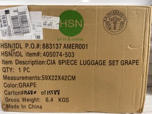 Grape Color Luggage Roller Bag