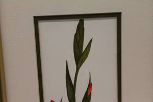 Framed Floral Artwork with Gold Frame