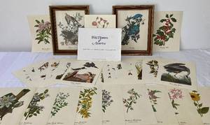 lot 27 image: Set of John J. Audubon Framed Prints Blue Jay and Mourning Dove and 14 Loose Audubon Bird Prints