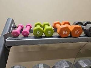 lot 24 image: Lamar Fitness Weight Rack & Dumbbells
