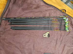 lot 179 image: Bear Archery Compound Bow