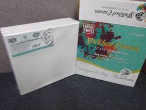 lot 393 image: 5 pk Develiou12x12 Stretched Ca...