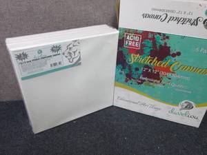 lot 395 image: 5 pk Develiou12x12 Stretched Ca...