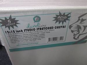 lot 396 image: 5 pk Develiou12x12 Stretched Ca...