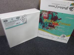 lot 397 image: 5 pk Develiou12x12 Stretched Ca...