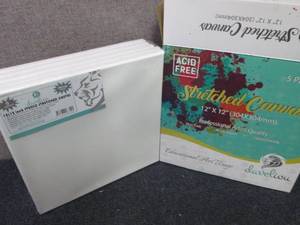 lot 399 image: 5 pk Develiou12x12 Stretched Ca...