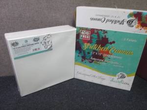 lot 404 image: 5 pk Develiou12x12 Stretched Ca...