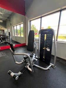 lot 31 image: Cybex Eagle Pec FlyRear Delt 11111-90