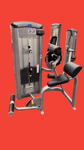 lot 47 image: Cybex Back Extension