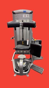 lot 55 image: Cybex Torso rotation