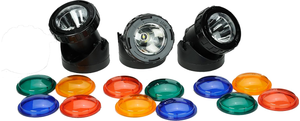 lot 509 image: 3PCS TotalPond Pond and Landscape LED Lights