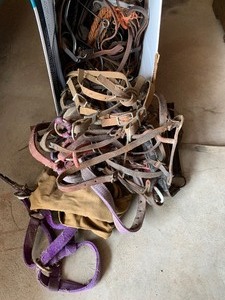 Halters and horse items