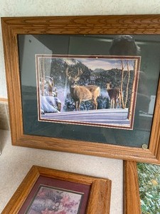 Large lot of pictures