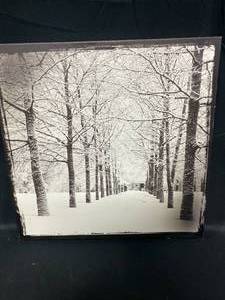 lot 203 image: 16 x 16 Light Up Winter Tree Landscape Canvas (batteries not inc)