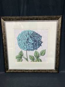 lot 208 image: Framed & Matted PrintPicture of a Hydrangea