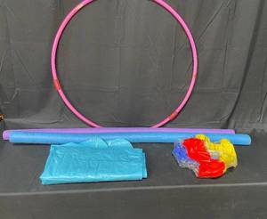 lot 120 image: Two Floating Noodles  Blow Up Beech Ball  Hula-hoop 
