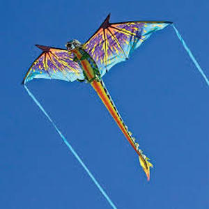 lot 144 image: WindNSun SuperSize 3D Nylon Kite-Dragon