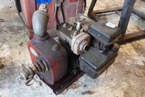 lot 37 image: Red Lion Gas Powered Liquid Pump