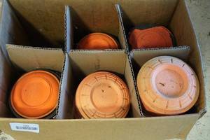 lot 193 image: Clay Pigeons