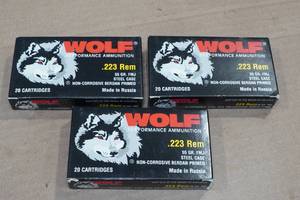 lot 145 image: 60 Wolf .223 Rem 55 Gr FMJ Steel Case Ammo