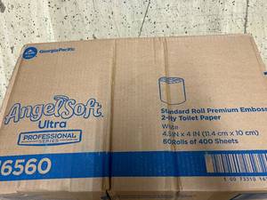 lot 100 image: Box of Angel Soft 2-Ply Toilet Paper
