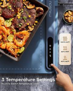 lot 13 image: iTrusou Electric Warming Full Surface Tray